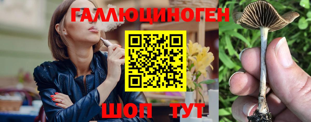 Псилоцибиновые грибы Psilocybine cubensis  Псилоцибиновые грибы MAGIC MUSHROOMS  Вход с VPN  Кохма 